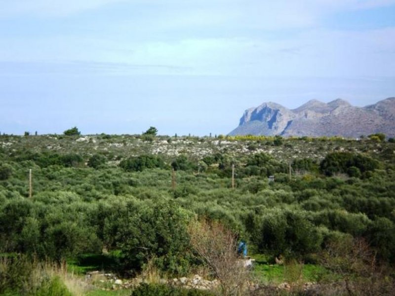 Kounoupidiana Grundstück auf Kreta zum Verkauf: Gesuchte Wohngegend auf der Halbinsel Akrotiri Grundstück kaufen